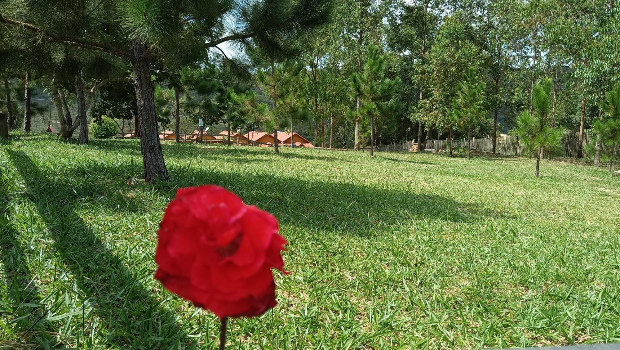 Chales E Camping Do Robinho 1 São Tomé das Letras Екстериор снимка